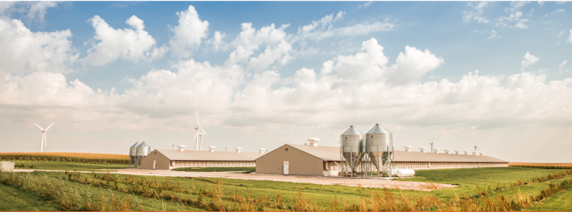 Horizontal farm with wind turbines